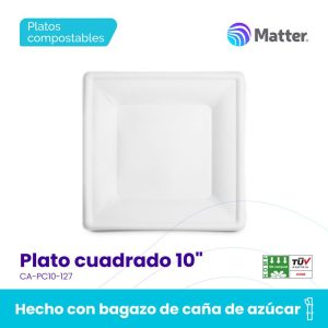 Plato cuadrado 10"