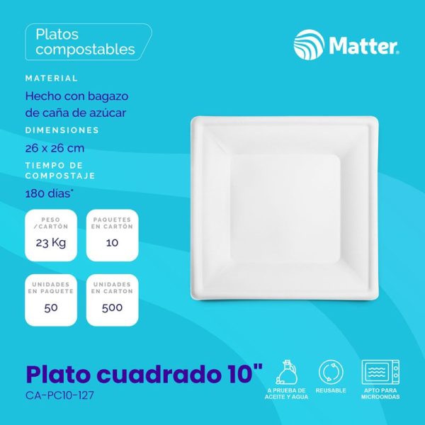 Plato cuadrado 10" - Imagen 2