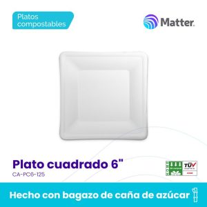 Plato cuadrado 6"