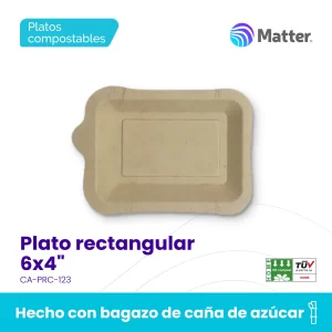 Plato rectangular 6x4"