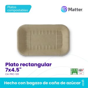 Plato rectangular 7x4.5"