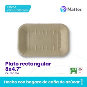 Plato rectangular 8x4.7
